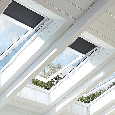 Skylight window