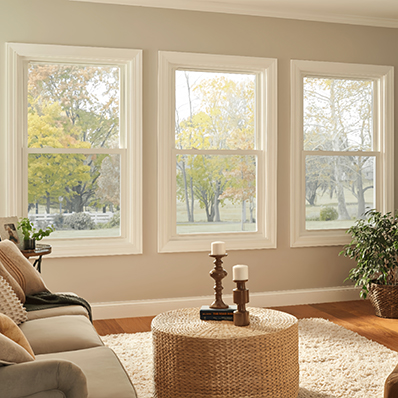 Single hung window.1
